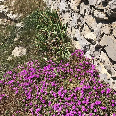 Maison Grand Jardin Avec Vue Magnifique A 5km De La Villa